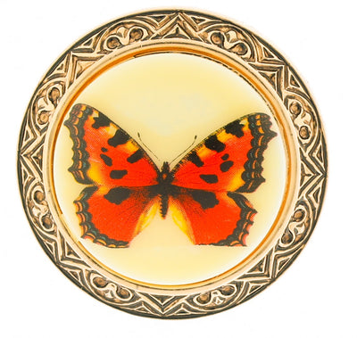 Vintage Butterfly Scarf Clip